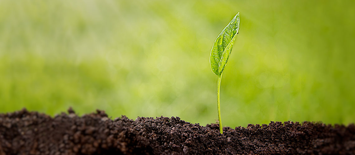 Aleavedis Naturprodukte, wir lieben Natur!
